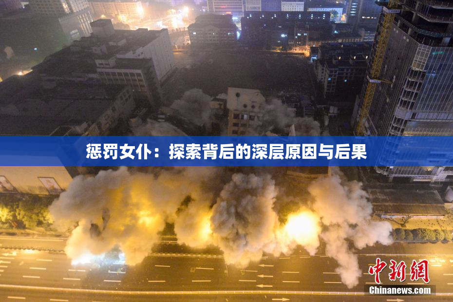 惩罚女仆：探索背后的深层原因与后果