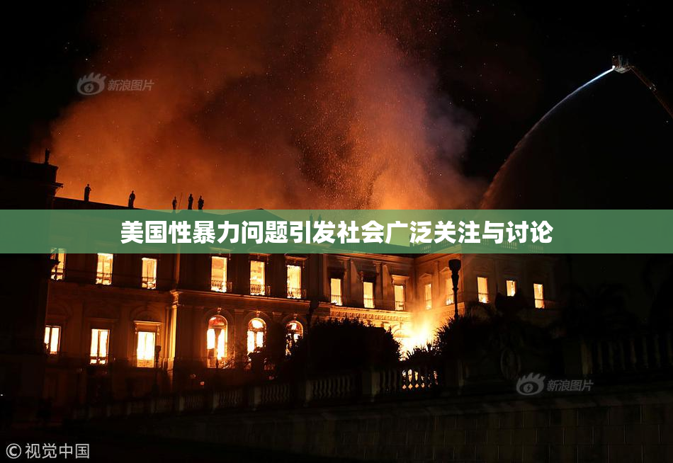 美国性暴力问题引发社会广泛关注与讨论