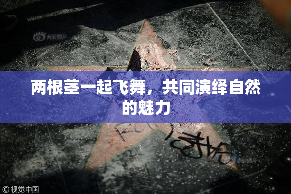 两根茎一起飞舞，共同演绎自然的魅力