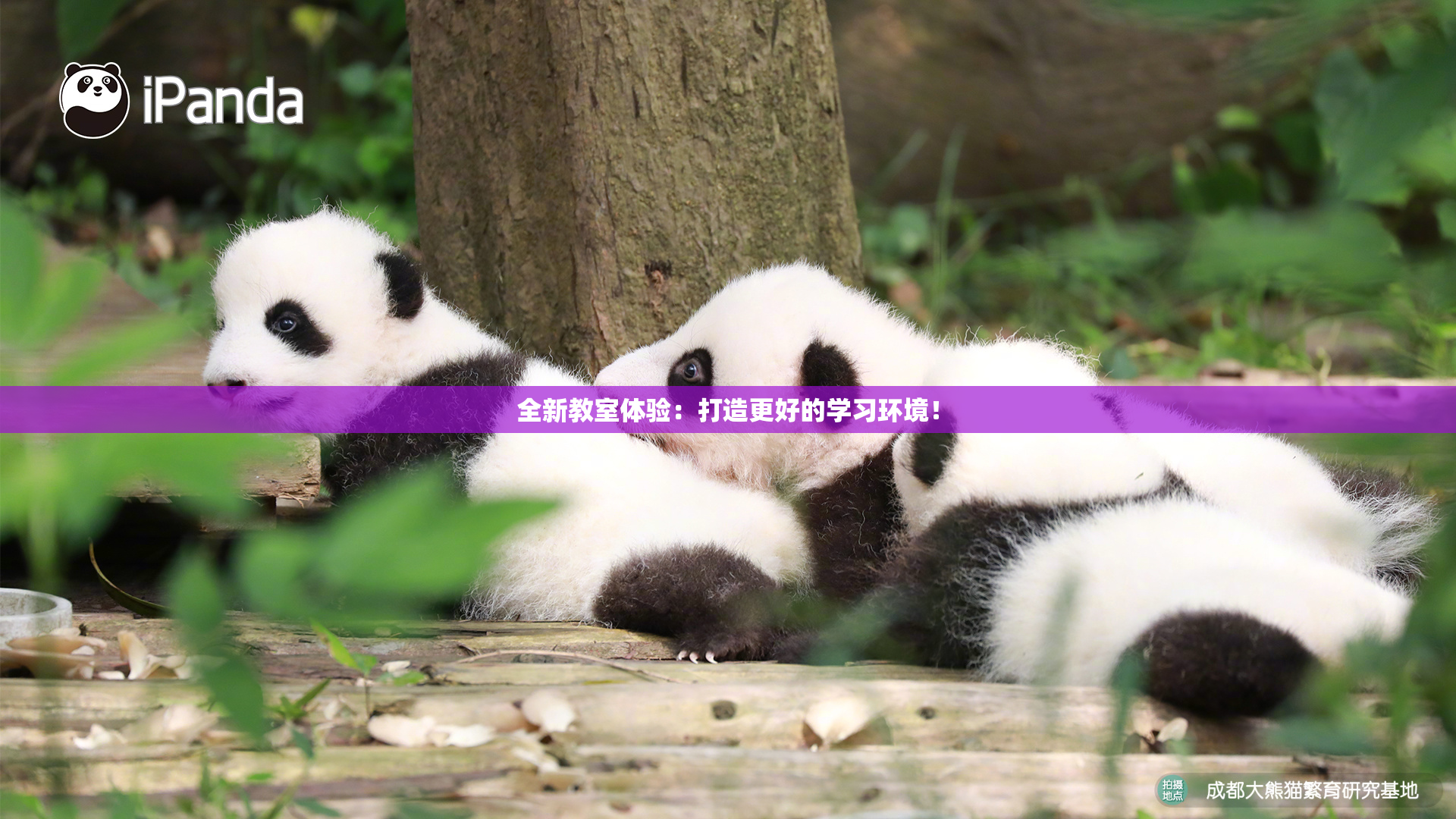 全新教室体验：打造更好的学习环境！