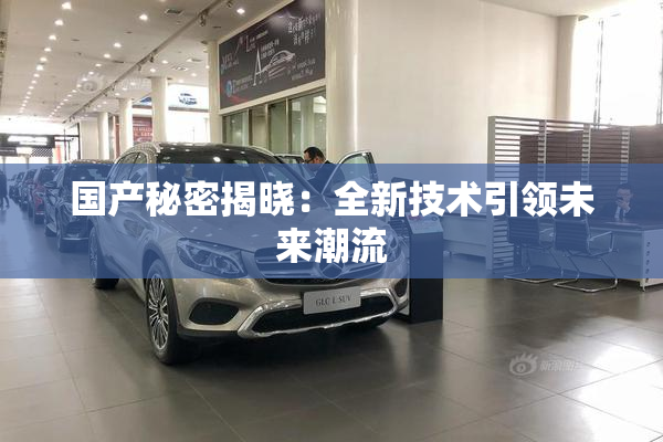 国产秘密揭晓：全新技术引领未来潮流