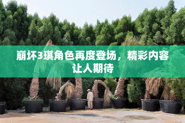崩坏3琪角色再度登场，精彩内容让人期待