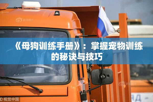 《母狗训练手册》：掌握宠物训练的秘诀与技巧