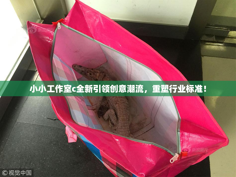 小小工作室c全新引领创意潮流，重塑行业标准！