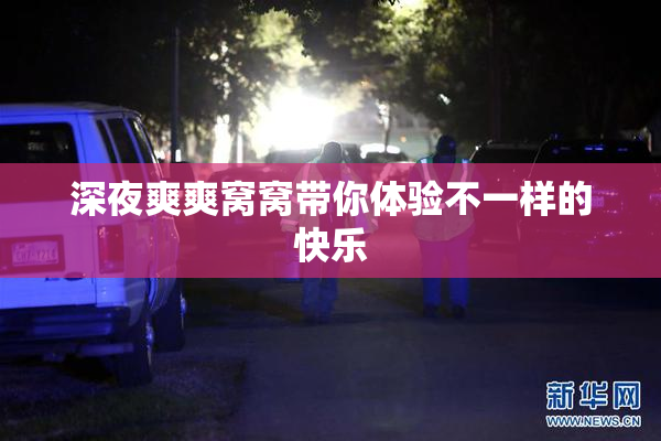 深夜爽爽窝窝带你体验不一样的快乐
