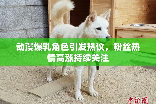 动漫爆乳角色引发热议，粉丝热情高涨持续关注