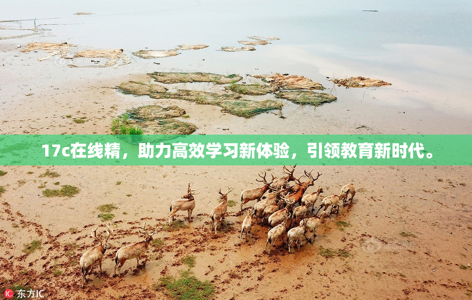 17c在线精，助力高效学习新体验，引领教育新时代。