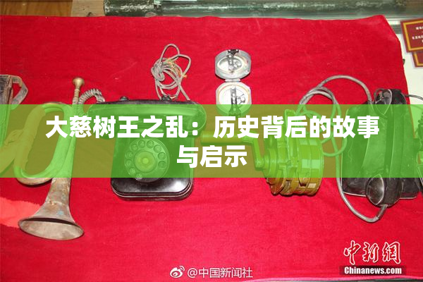 大慈树王之乱：历史背后的故事与启示