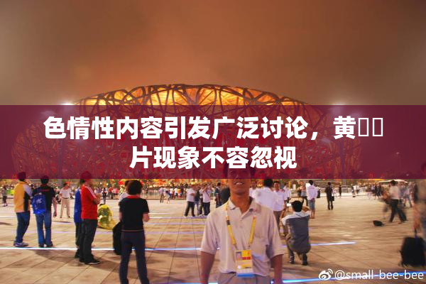 色情性内容引发广泛讨论，黄❌‌片现象不容忽视