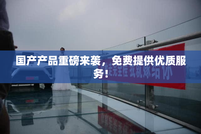 国产产品重磅来袭，免费提供优质服务！