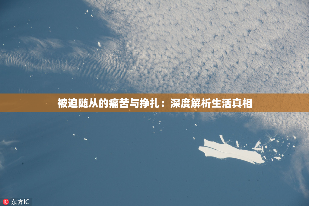 被迫随从的痛苦与挣扎：深度解析生活真相