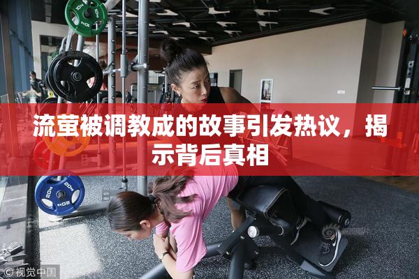 流萤被调教成的故事引发热议，揭示背后真相
