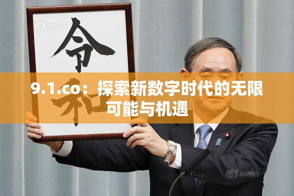 9.1.co：探索新数字时代的无限可能与机遇