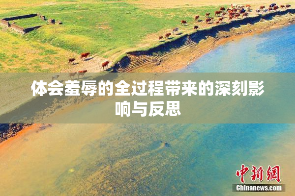 体会羞辱的全过程带来的深刻影响与反思
