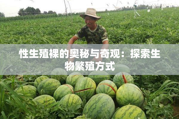 性生殖裸的奥秘与奇观：探索生物繁殖方式