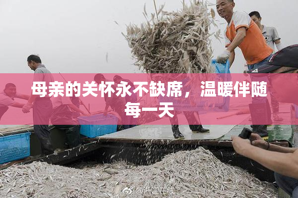 母亲的关怀永不缺席，温暖伴随每一天