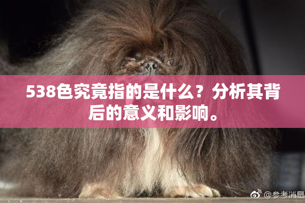 538色究竟指的是什么？分析其背后的意义和影响。