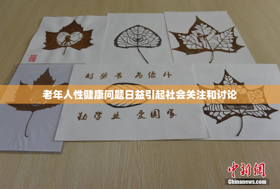老年人性健康问题日益引起社会关注和讨论