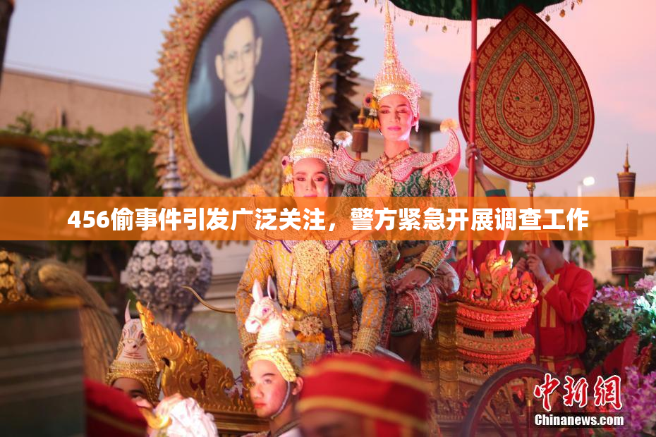 456偷事件引发广泛关注，警方紧急开展调查工作