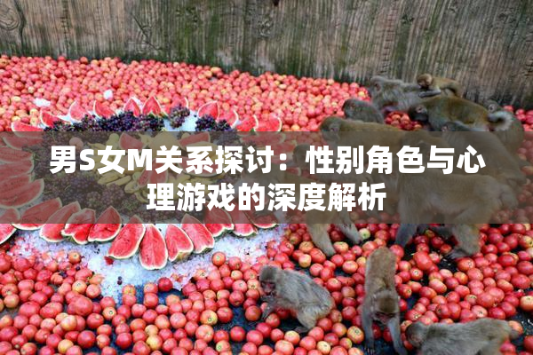 男S女M关系探讨：性别角色与心理游戏的深度解析