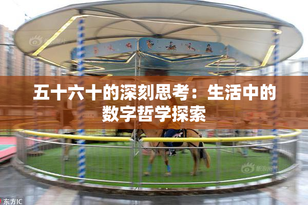 五十六十的深刻思考：生活中的数字哲学探索
