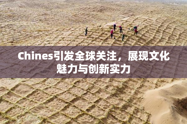 Chines引发全球关注，展现文化魅力与创新实力