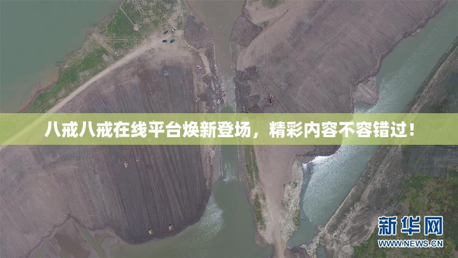 八戒八戒在线平台焕新登场，精彩内容不容错过！
