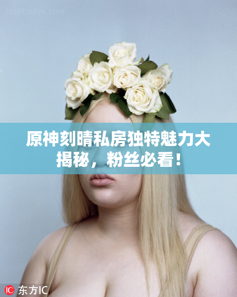 原神刻晴私房独特魅力大揭秘，粉丝必看！