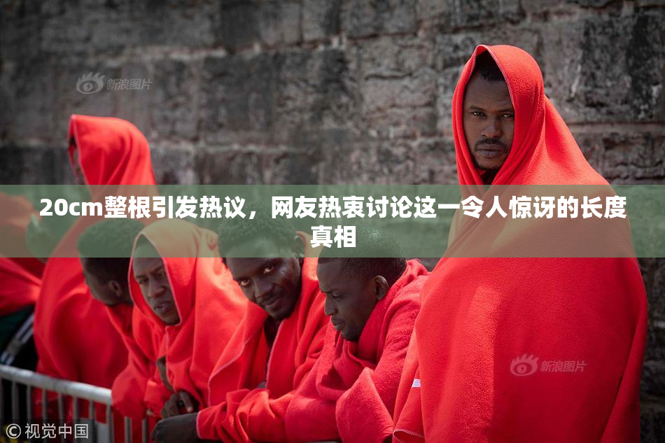 20cm整根引发热议，网友热衷讨论这一令人惊讶的长度真相