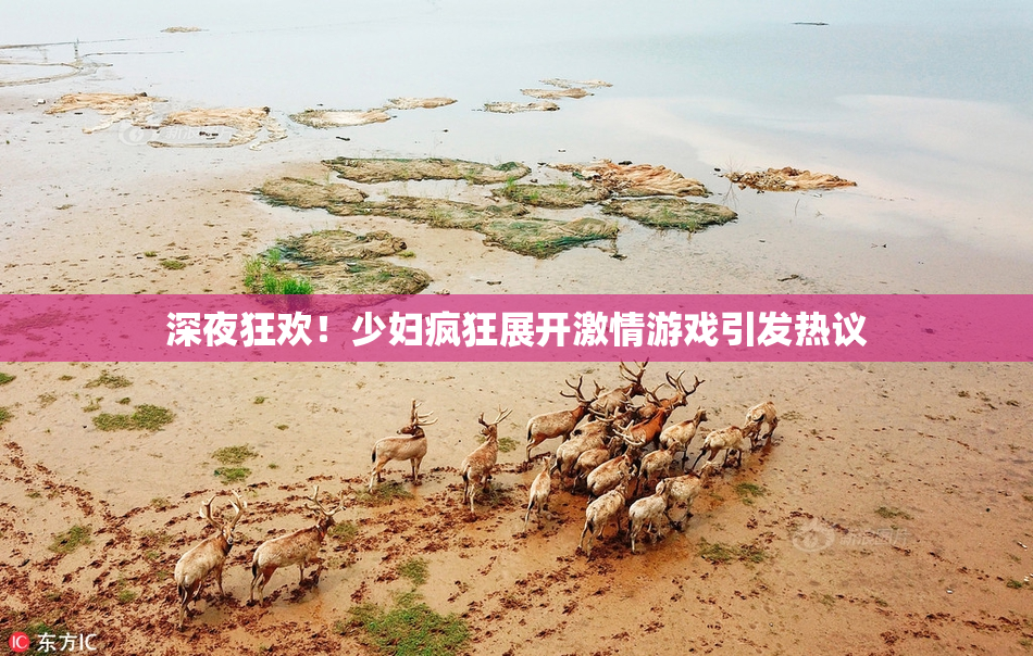 深夜狂欢！少妇疯狂展开激情游戏引发热议