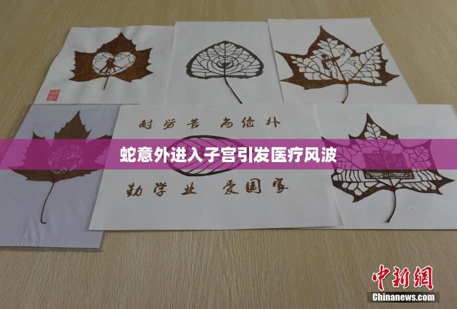 蛇意外进入子宫引发医疗风波