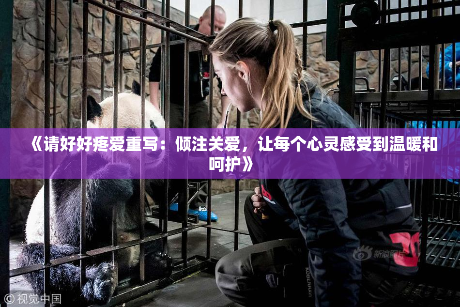 《请好好疼爱重写：倾注关爱，让每个心灵感受到温暖和呵护》