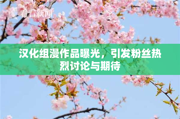 汉化组漫作品曝光，引发粉丝热烈讨论与期待