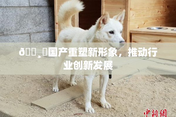 🌸‌国产重塑新形象，推动行业创新发展
