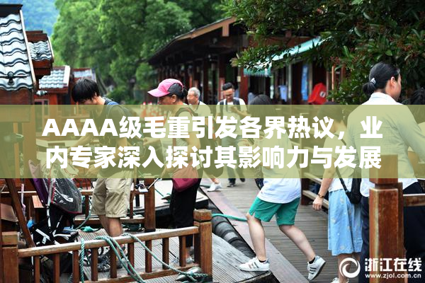 AAAA级毛重引发各界热议，业内专家深入探讨其影响力与发展前景