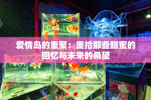 爱情岛的重聚：重拾那些甜蜜的回忆与未来的希望