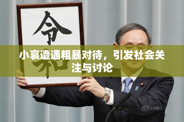 小哀遭遇粗暴对待，引发社会关注与讨论