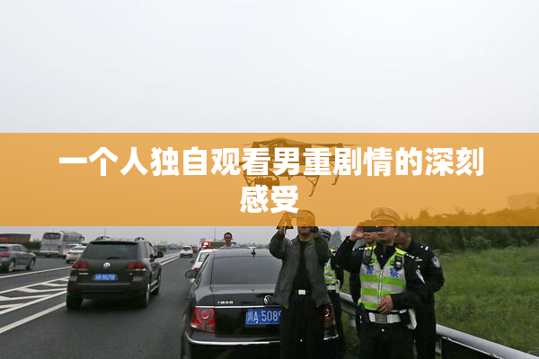 一个人独自观看男重剧情的深刻感受