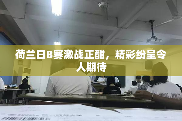 荷兰日B赛激战正酣，精彩纷呈令人期待