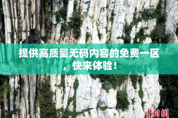提供高质量无码内容的免费一区，快来体验！
