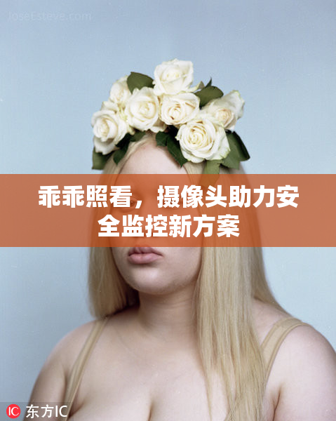 乖乖照看，摄像头助力安全监控新方案