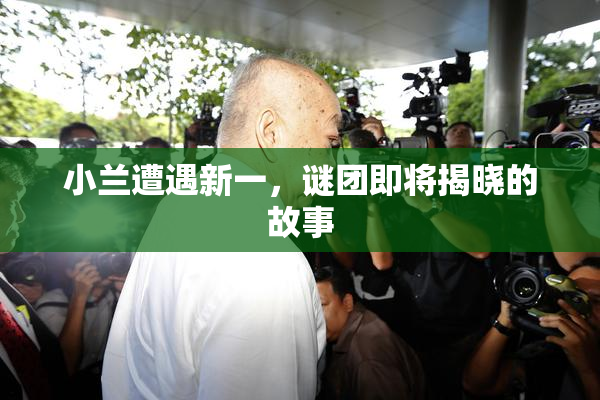 小兰遭遇新一，谜团即将揭晓的故事