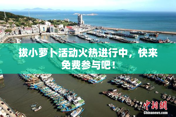 拔小萝卜活动火热进行中，快来免费参与吧！