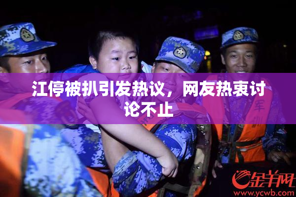 江停被扒引发热议，网友热衷讨论不止