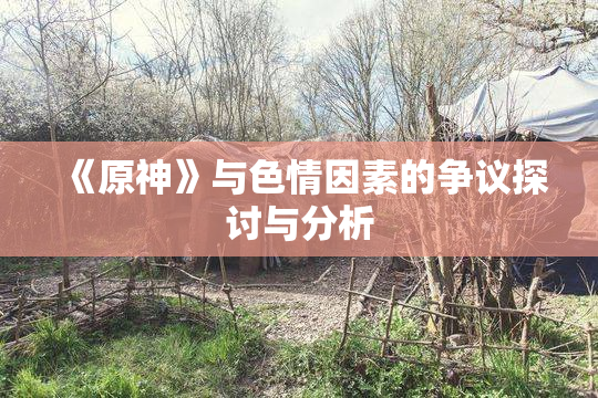 《原神》与色情因素的争议探讨与分析