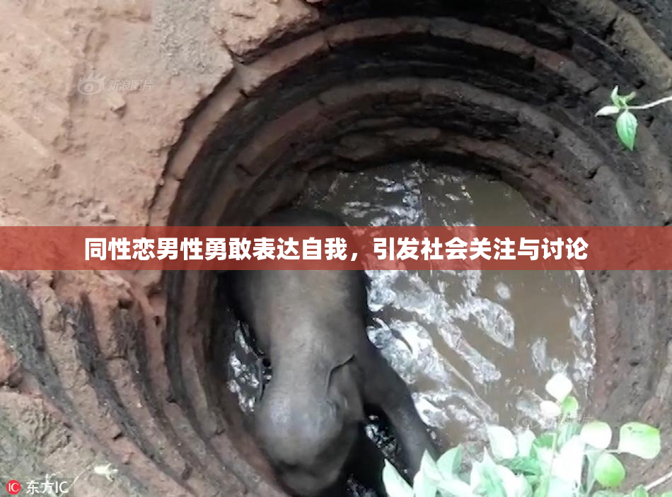 同性恋男性勇敢表达自我，引发社会关注与讨论