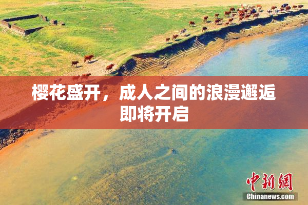 樱花盛开，成人之间的浪漫邂逅即将开启