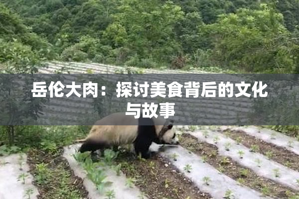岳伦大肉：探讨美食背后的文化与故事