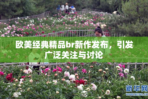 欧美经典精品br新作发布，引发广泛关注与讨论