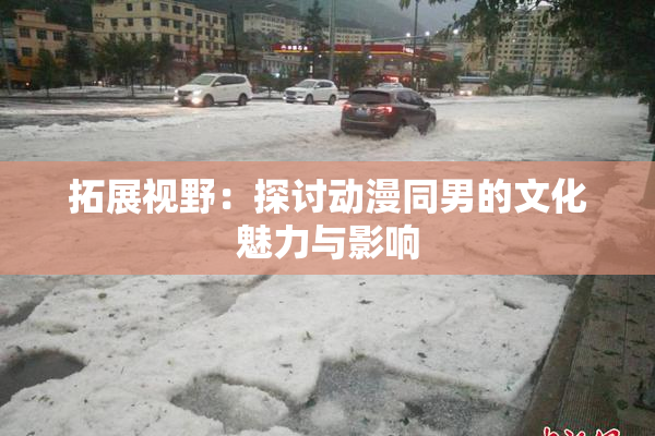 拓展视野：探讨动漫同男的文化魅力与影响
